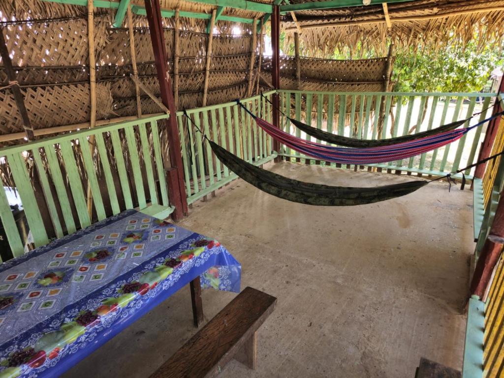 Regenerative Living & Community